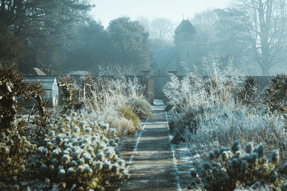 Gartenarbeiten im Januar: Optimal vorbereitet ins neue Gartenjahr starten - organischer-dünger