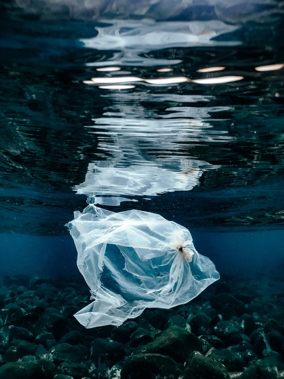 Kunststoffverpackungen und Klimawandel: Wie Plastik unsere Umwelt und das Klima beeinflusst
